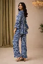 Co-ord Set Blue Embroidery (5).webp