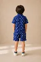 Co-ord Set Indigo Blue Lotus motif Block Print Boys (4).webp