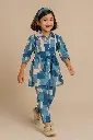 Blue Co-ord Set (1).webp